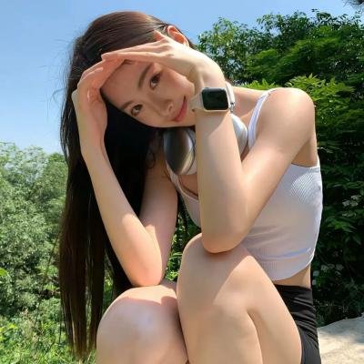 鬣狗之路